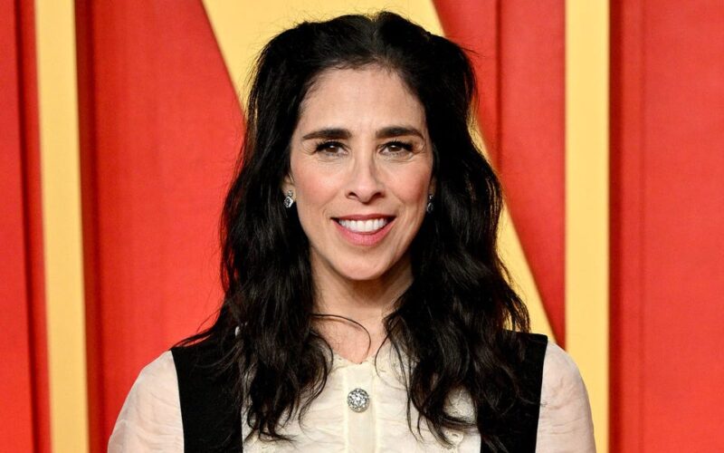 Sarah Silverman says her lawsuit against OpenAI is difficult because the company is one of the 'richest entities in the world'