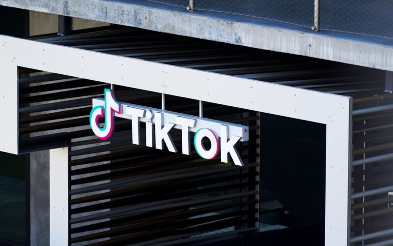 TikTok Employees Shrug Off the US Election