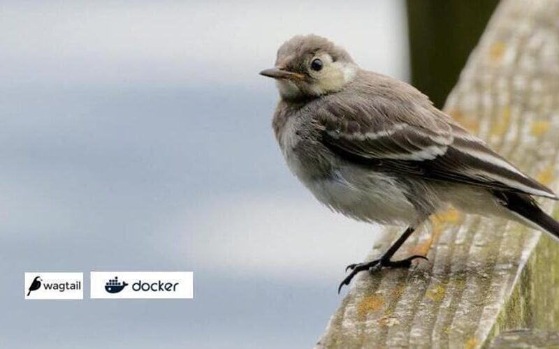 Wagtail on Docker