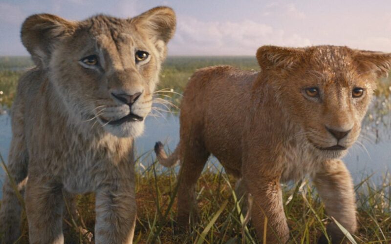 Critics are calling 'Mufasa: The Lion King' a 'contrived cash-in' that's 'blankly corporate,' but it's still better than 2019's 'The Lion King' remake