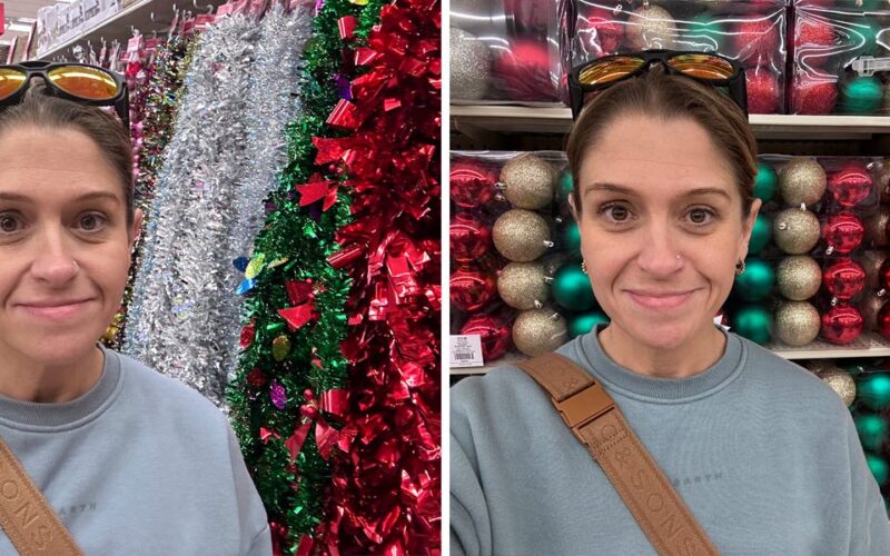 I shopped at Michaels and Hobby Lobby for holiday decor, and one really blew me away