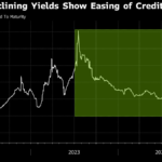 Rakuten Starts Marketing Its Third Dollar Bond Offering of 2024