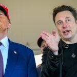 The evolution of Musk and Trump's 'bromance'