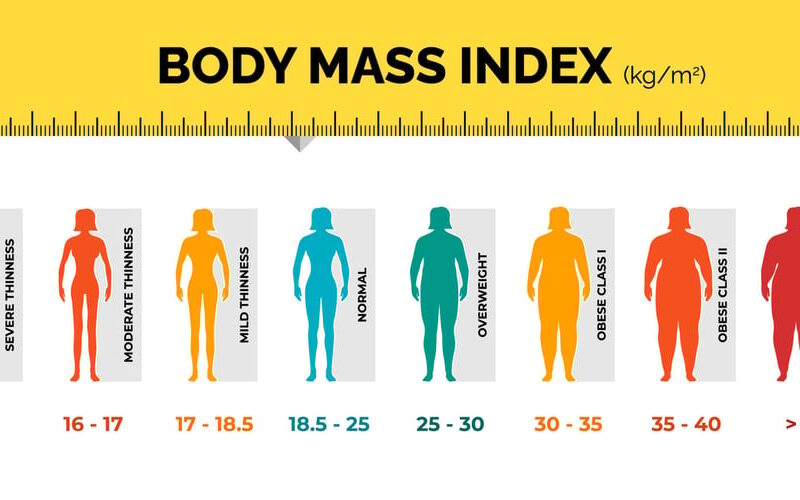 Understanding the BMI Calculator Code in React and Next.js